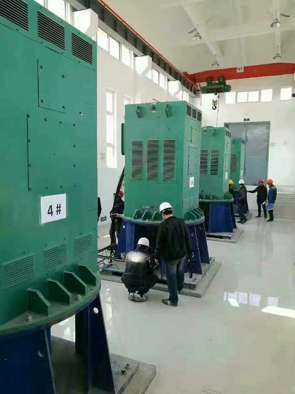 国营南平农场某污水处理厂使用我厂的立式高压电机安装现场