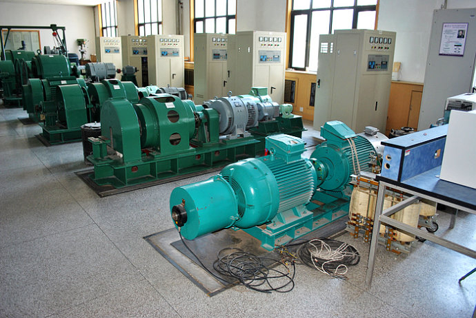 国营南平农场某热电厂使用我厂的YKK高压电机提供动力